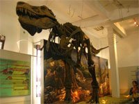 Museum Geologi