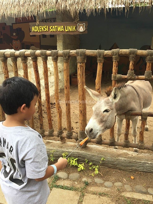 Faunaland Ecopark Ancol - Kids Holiday Spots - Liburan Anak - Informasi