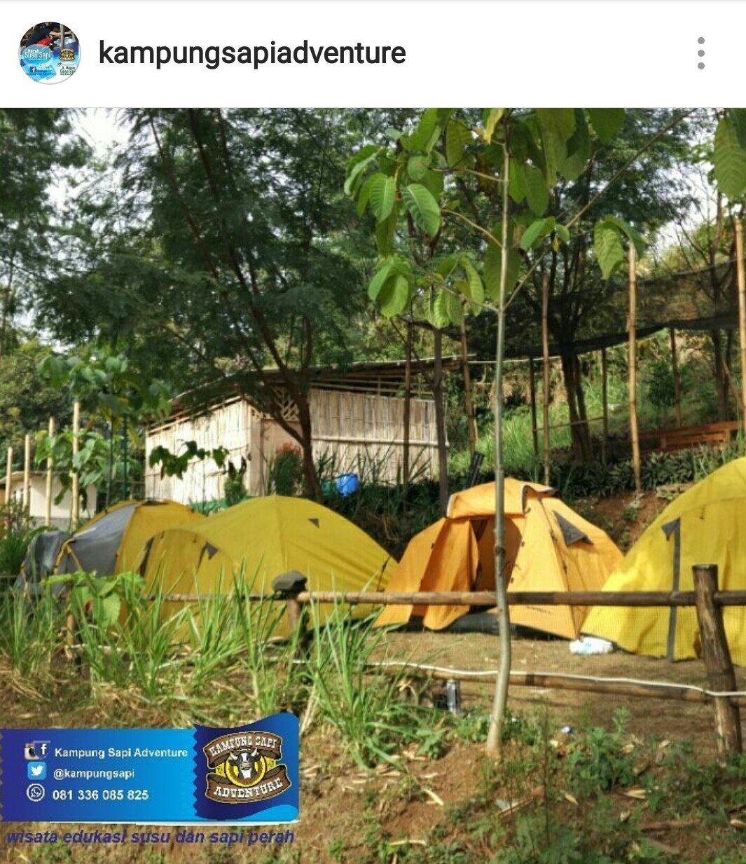 Kampung Sapi Adventure - Kids Holiday Spots - Liburan Anak ...