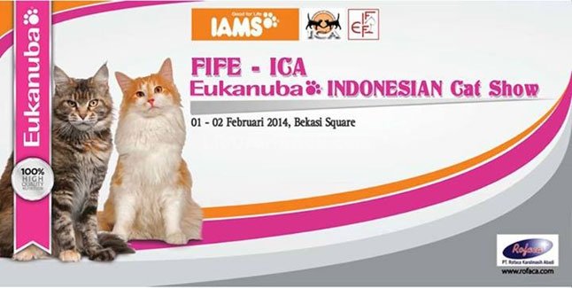 Indonesia Cat Show