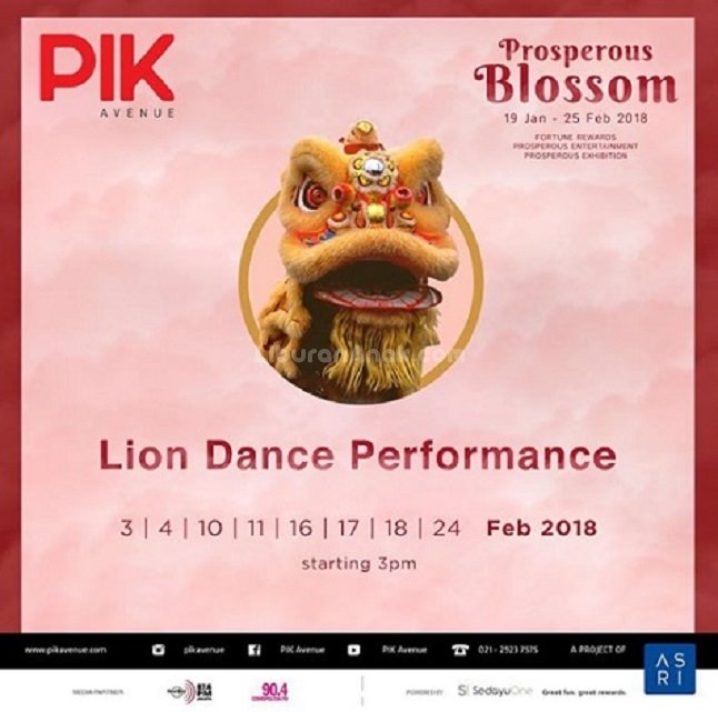 Lion Dance Performance
