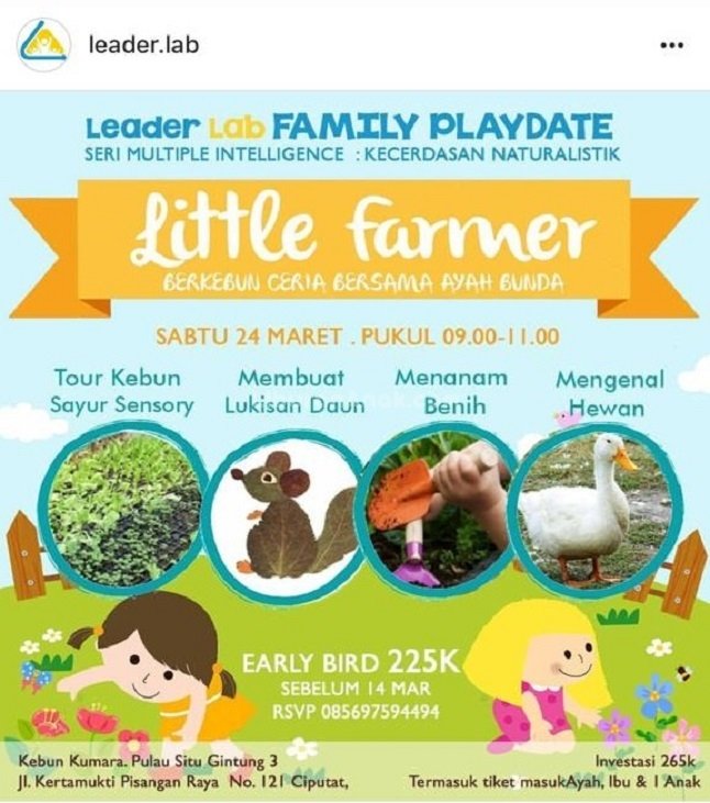 Little Farmer