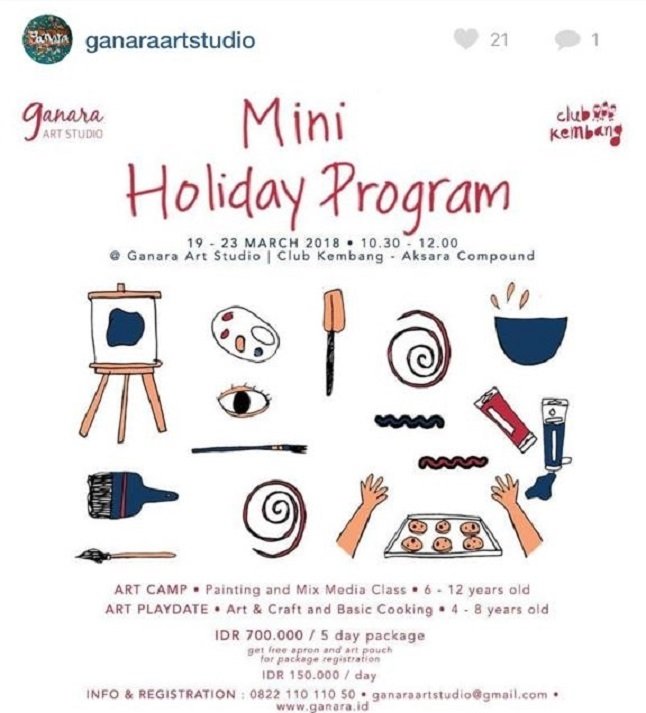 Mini Holiday Program