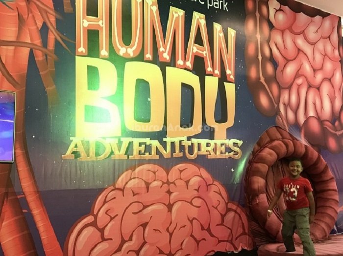 Belajar Anatomi Tubuh Manusia di Human Body Adventures
