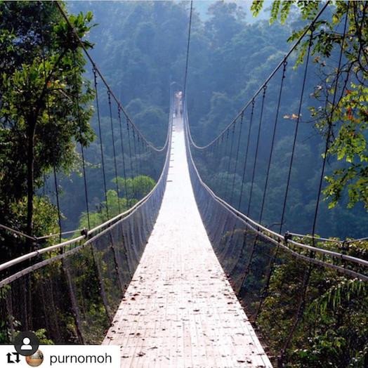Jembatan Instagramable di Situ Gunung, Selain Panjang banget jembatanya, pemandanganya itulohhh